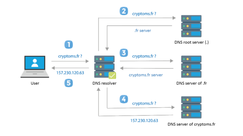 Top Blockchain Dns Guide!